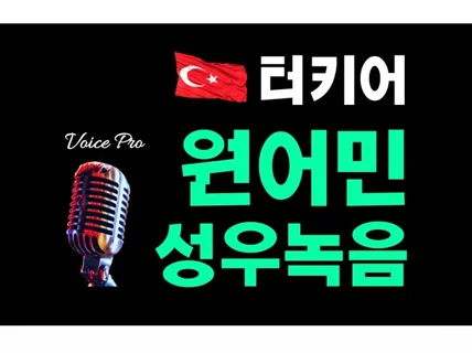 터키어 튀르키예어 원어민 외국인성우 번역더빙 녹음서비스