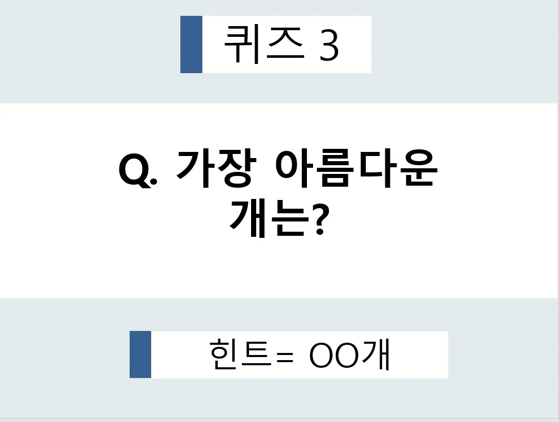 상세이미지-5