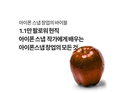 아이폰으로 시작하는 부업, 아이폰 스냅 창업의 바이블