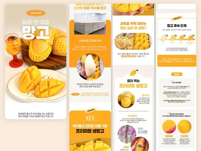 메인 이미지