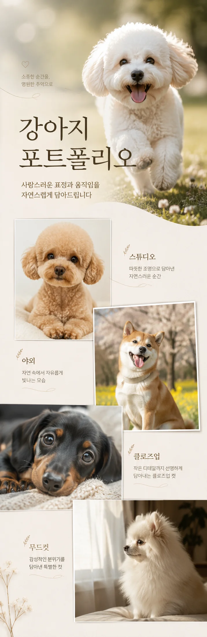 상세이미지-6