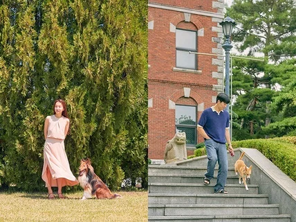반려동물 스냅 촬영