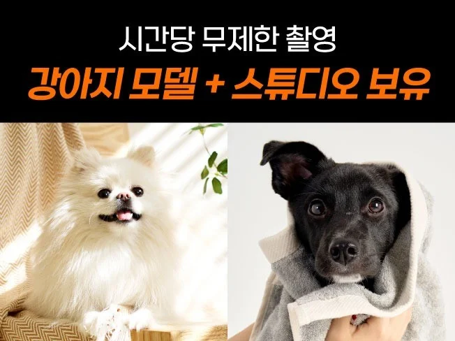 메인 이미지
