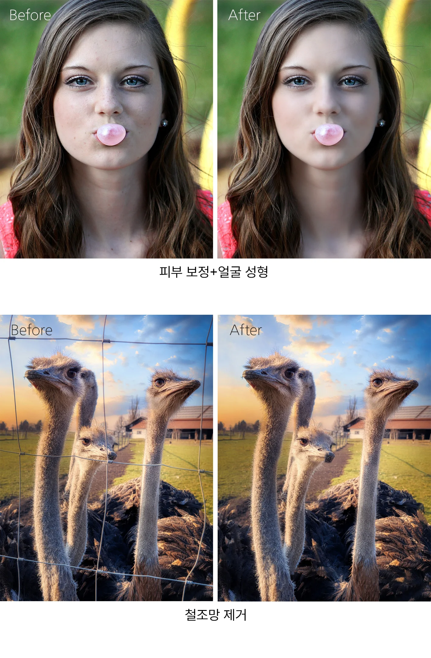 상세이미지-5