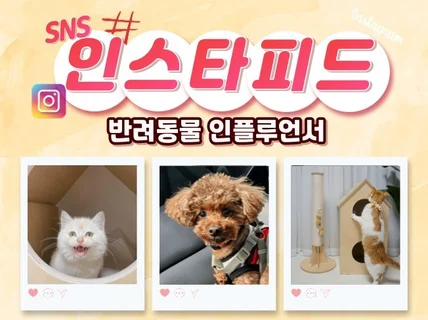 반려동물, 펫 전문 인스타 인플루언서 체험단