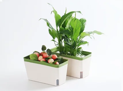 와디즈/네이버/쿠팡- 기획, 촬영, Gif, 상세페이지