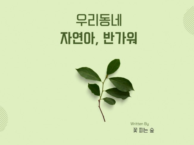 엄마 아빠도 쉽게하는 숲놀이 우리동네 자연아 반가워 - 크몽
