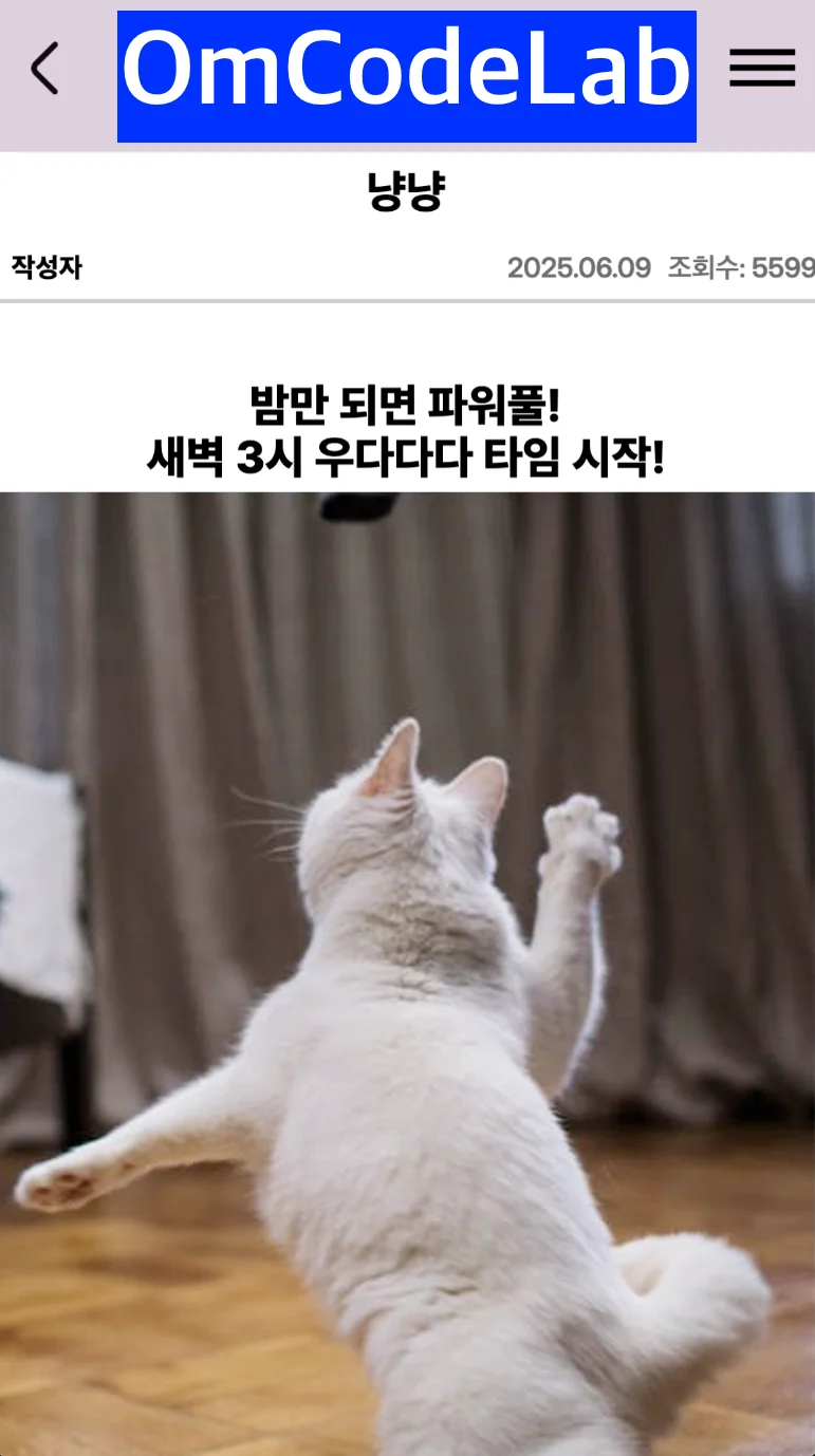 상세이미지-2