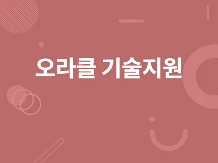 오라클 설치 복구 이관 등 기술지원