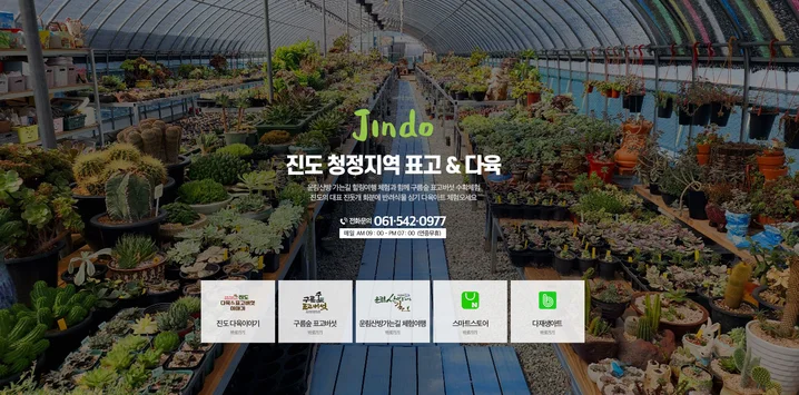 메인 이미지
