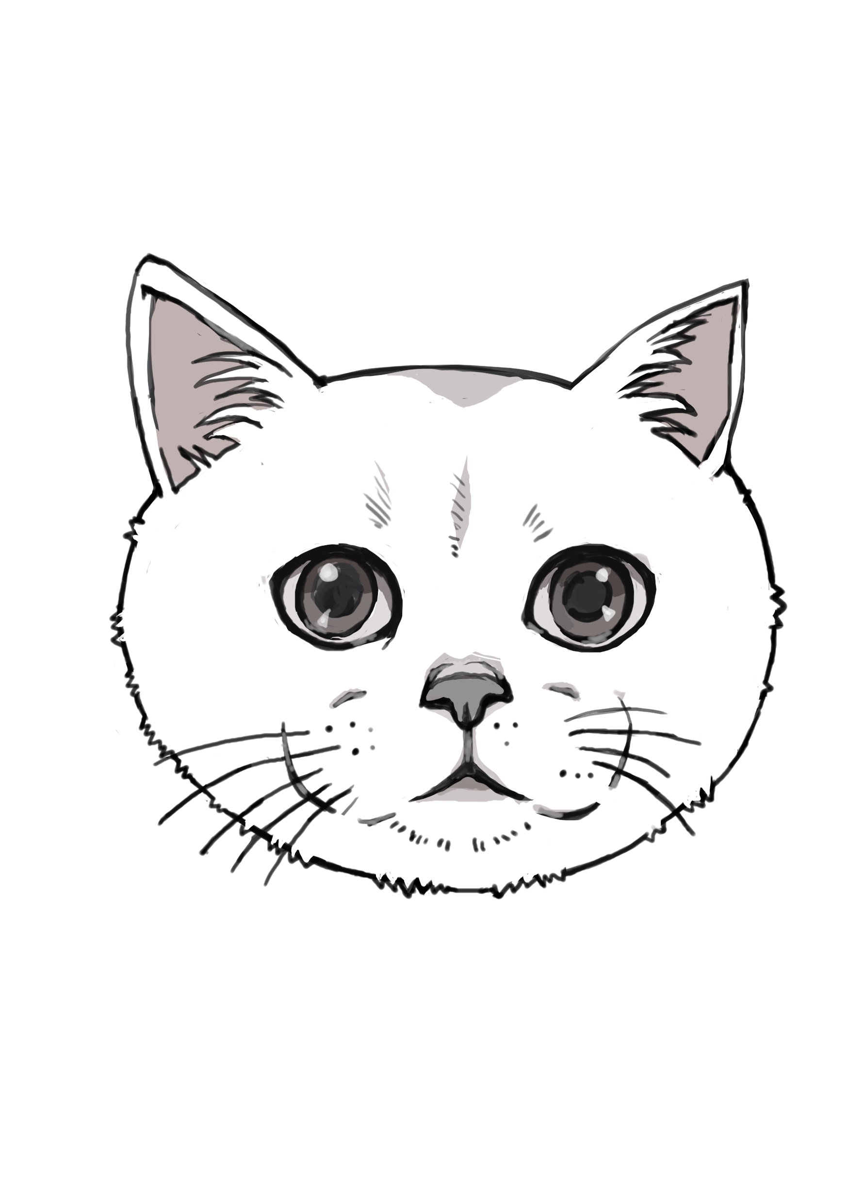 웹툰, 컷만화,홍보웹툰 그려 드립니다. - 크몽