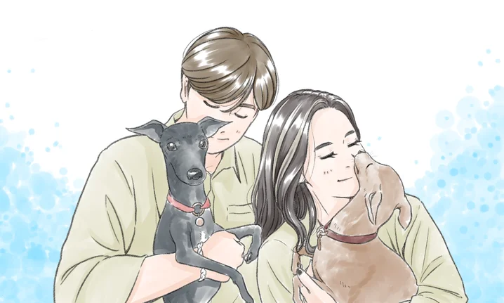 메인 이미지