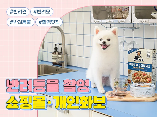 메인 이미지