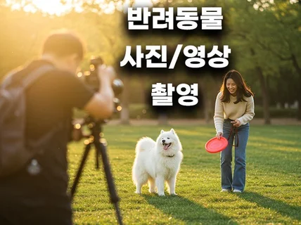 나와 영원히 가는 반려동물 나의 가족처럼 예쁘게 촬영