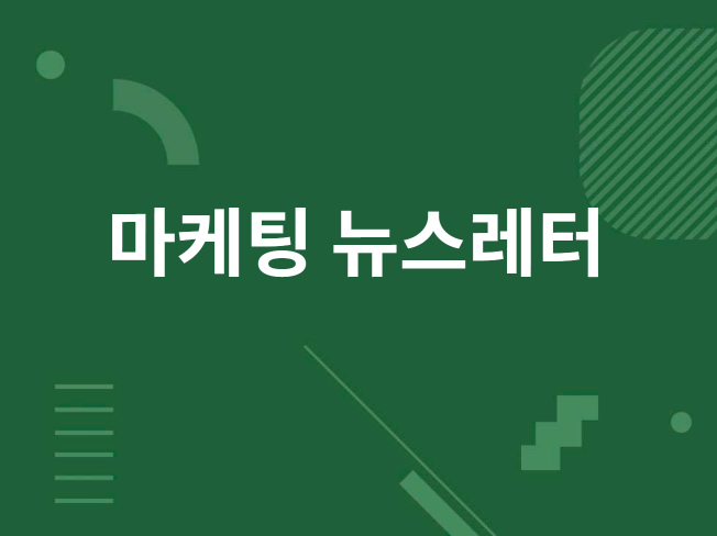 자동화 뉴스레터 제작 대행