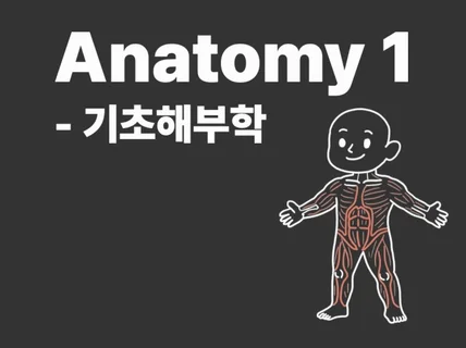 Basic Anatomy 기초 해부학 전자책