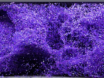 공간의 몰입감을 더해주는 미디어아트