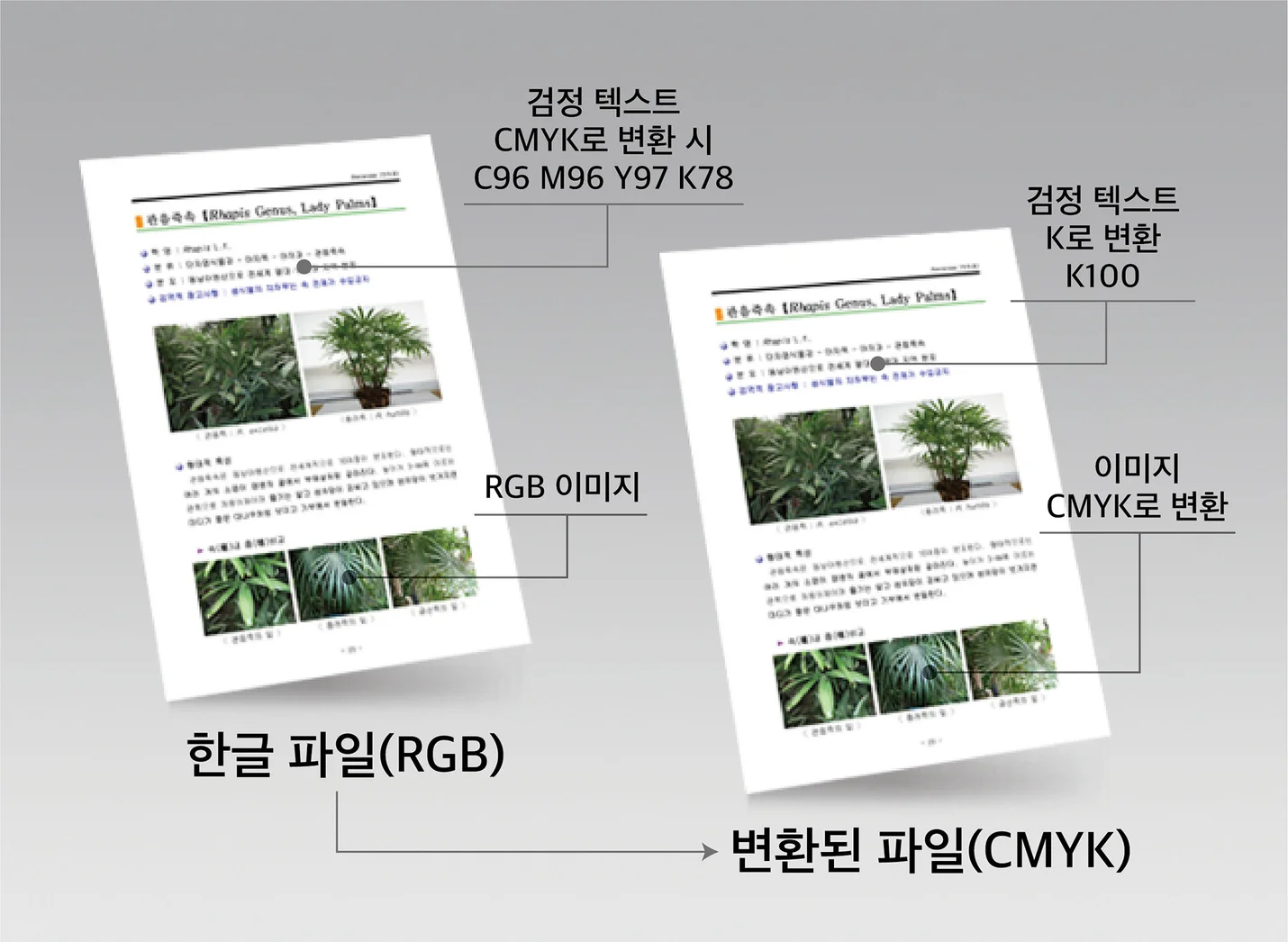 상세이미지-2