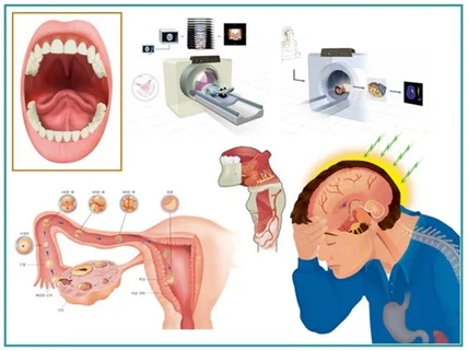 메디컬 전문 의학 과학 일러스트 최상의 퀄리티로 제공