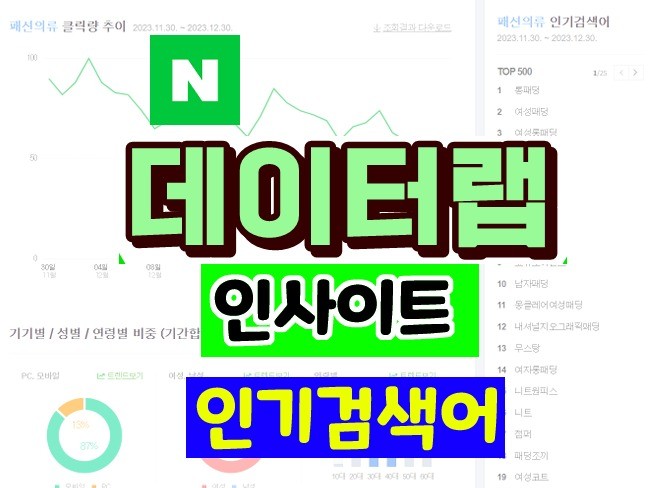 N사 데이터랩 인사이트 인기검색어 추출 프로그램 - 크몽