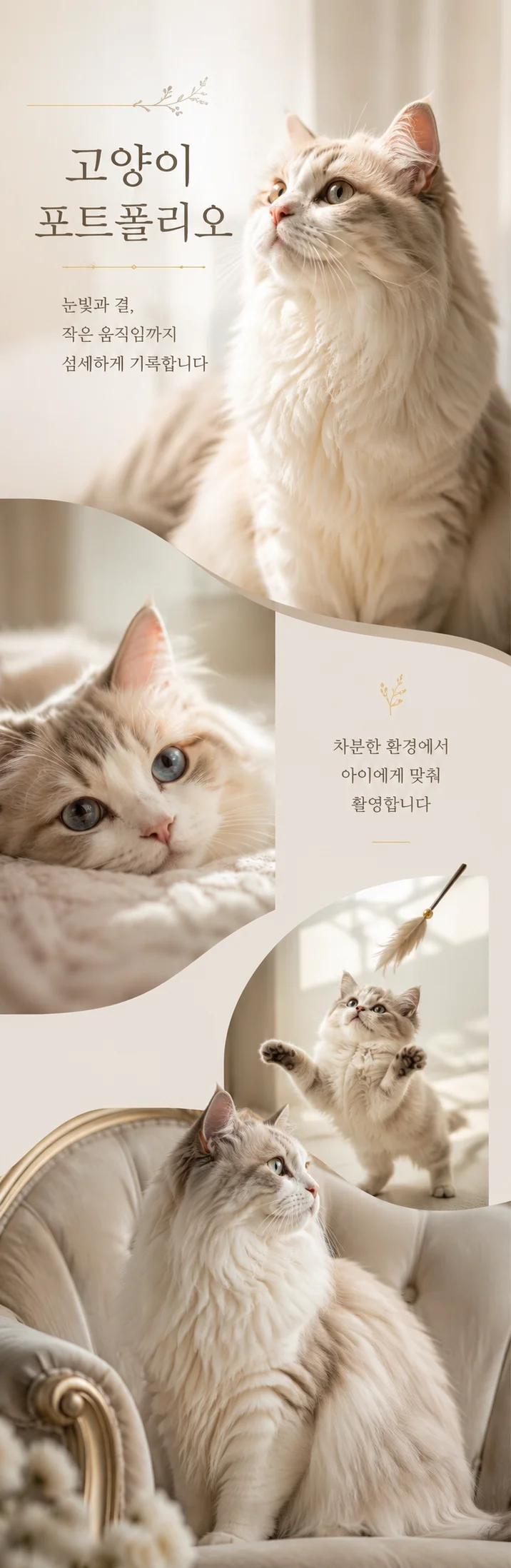 상세이미지-5