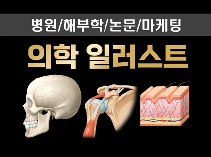 인체 및 의학 맞춤형 일러스트 그려 드립니다.