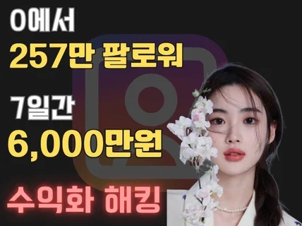 인스타그램 투잡 부업으로 7일간 6000만원 해킹