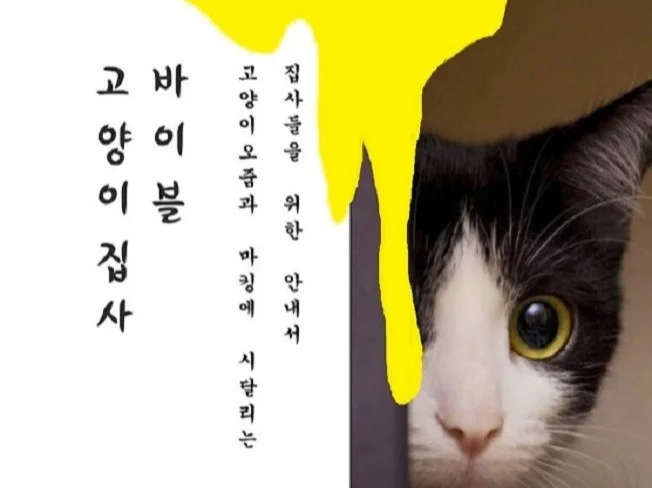 메인 이미지
