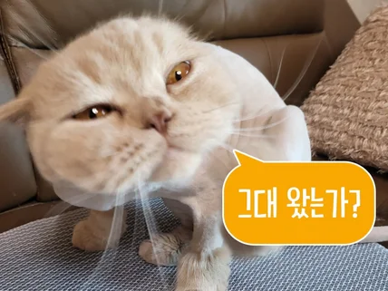 '돈' 냄새 물씬 나는 상세페이지 제작