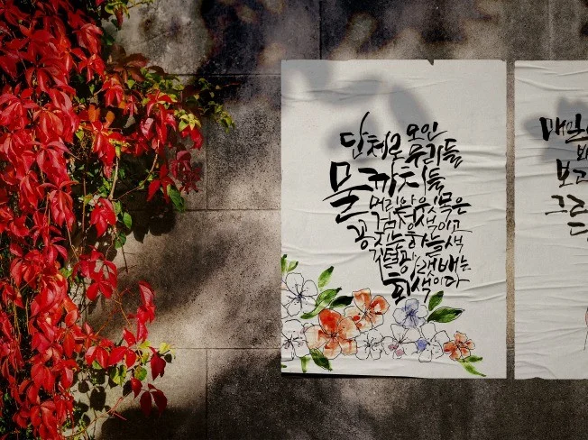 메인 이미지