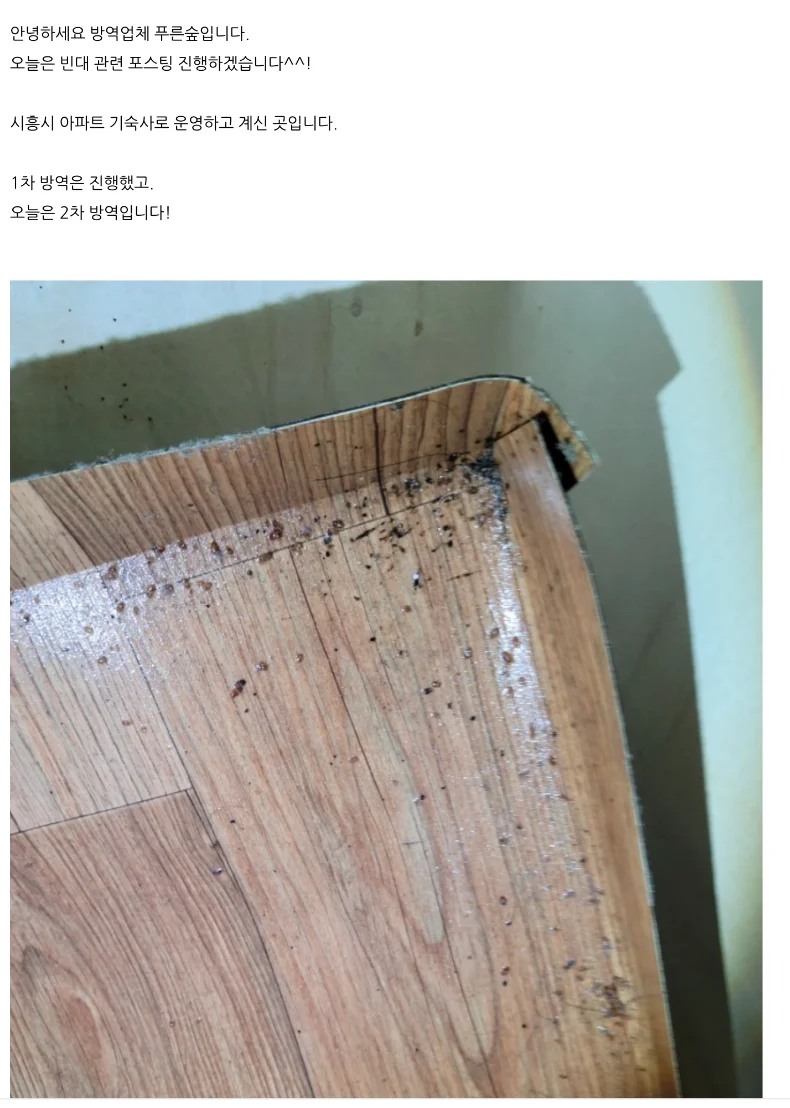 상세이미지-2