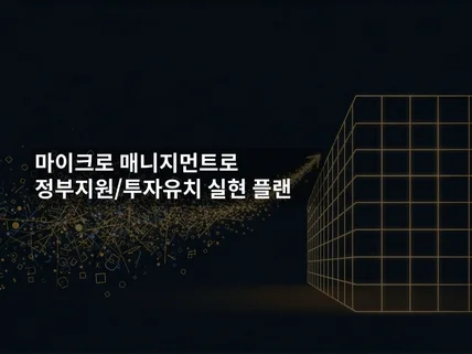 마이크로 매니지먼트로 정부지원/투자유치 실현 플랜