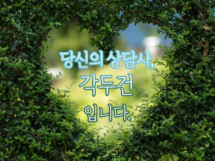 메인 이미지
