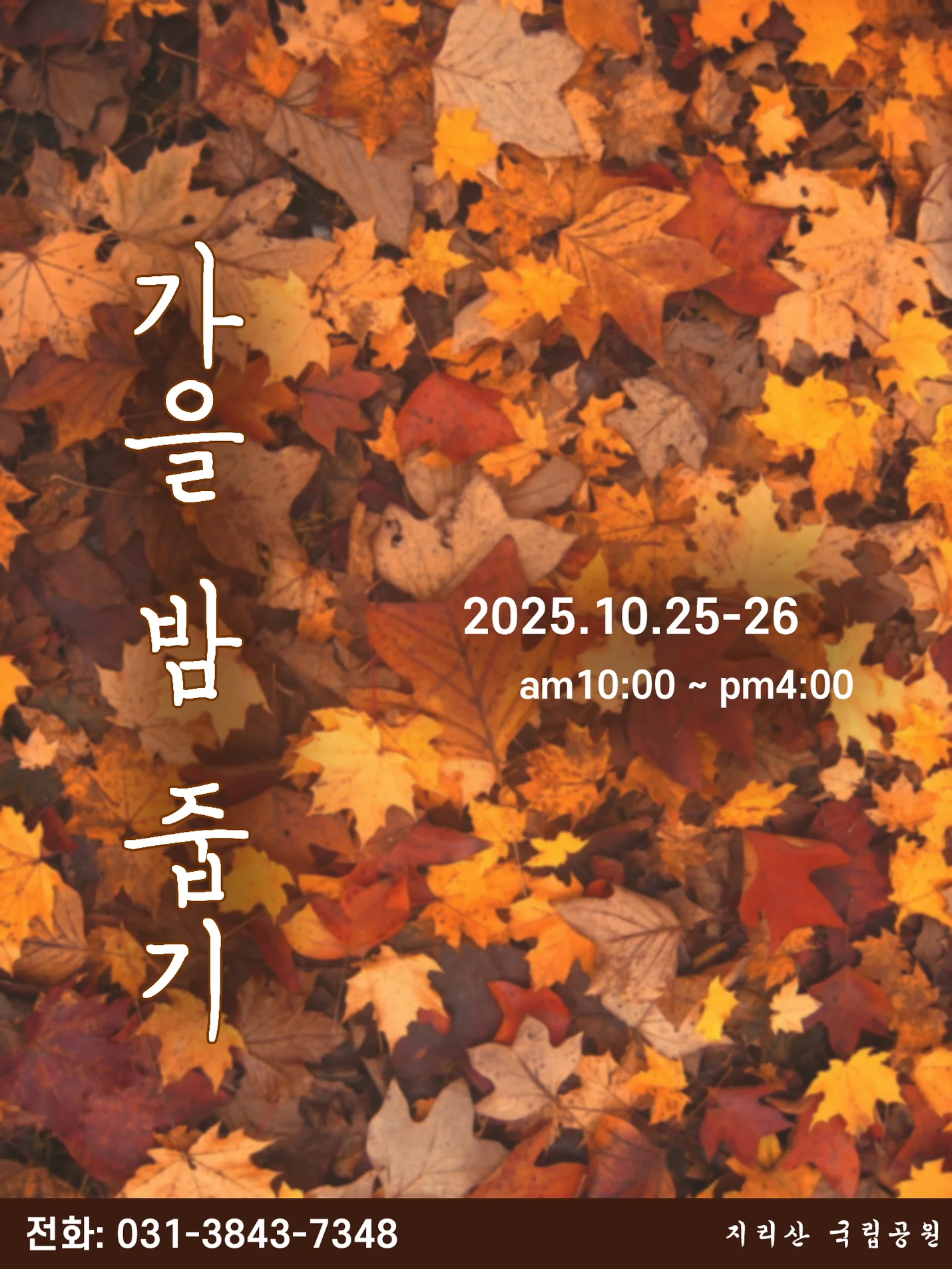 상세이미지-3