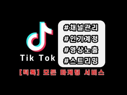 틱톡 팔로워 조회수 좋아요 및 채널 활성화 관리