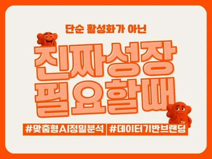 AI 상세페이지 정밀분석 맞춤형 마케팅 컨설팅