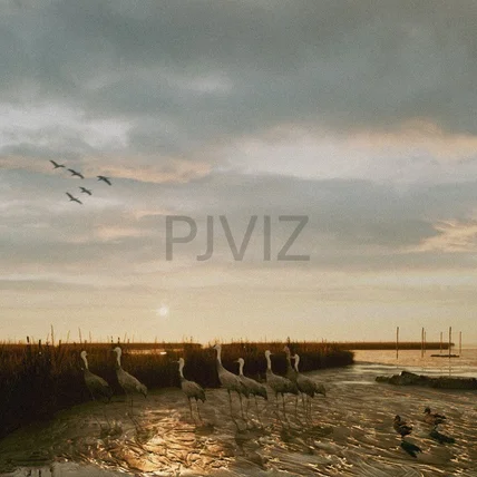 포트폴리오-PJVIZ_WETLAND_LANDSCAPE