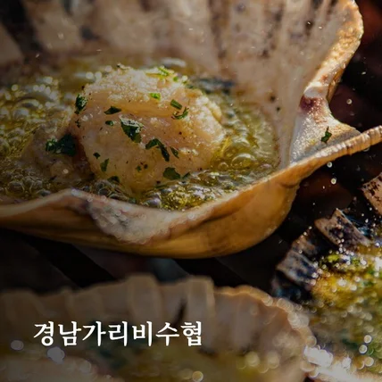 포트폴리오-고성군가리비수협 쇼핑몰 반응형 홈페이지 (웹사이트)