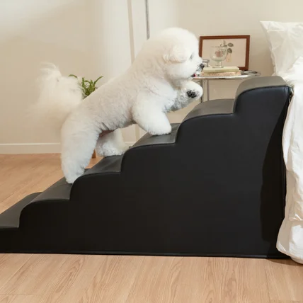 포트폴리오-[연출/섭외/촬영] 뽀몽 강아지 고양이 계단 스텝 전제품 촬영