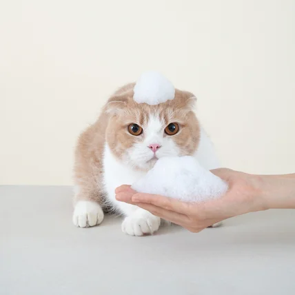 포트폴리오-[연출/섭외/촬영] 정글몬스터 고양이 샴푸 제품 촬영