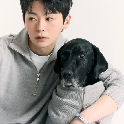 포트폴리오-[모델, 촬영] 웹 메거진 대형견 패션 화보 촬영, 룩북 촬영, 리트리버 모델 섭외까지