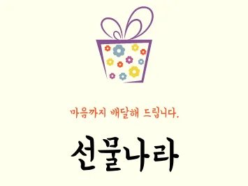 포트폴리오-선물나라 : 탐색적/사용성 테스트 프로젝트