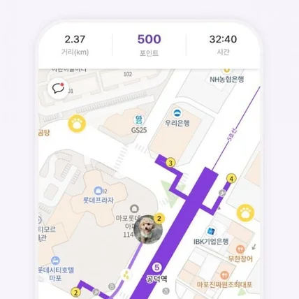 포트폴리오-산책 건강 기록, 걸음으로 포인트 쌓기 앱 개발