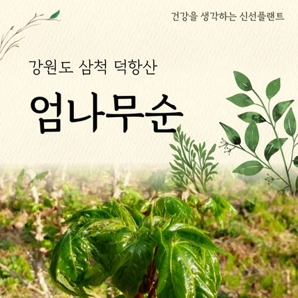 포트폴리오-식품(채소류) 상세페이지