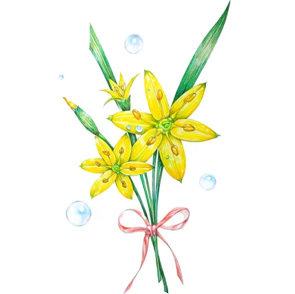 포트폴리오-탄생화 색연필 일러스트