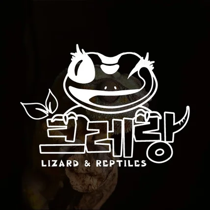 포트폴리오-파충류샵로고 도마뱀 반려동물 분양샵 분양카페 로고 제작 디자인