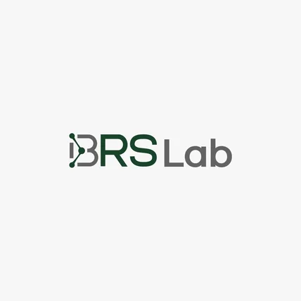 포트폴리오-바이오헬스 규제과학 전략연구소 BRS Lab 로고