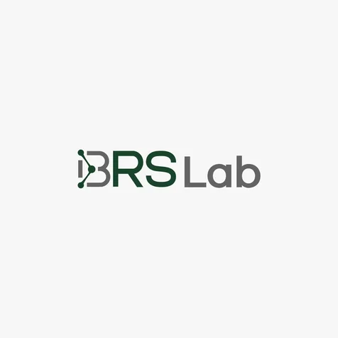 포트폴리오-바이오헬스 규제과학 전략연구소 BRS Lab 로고
