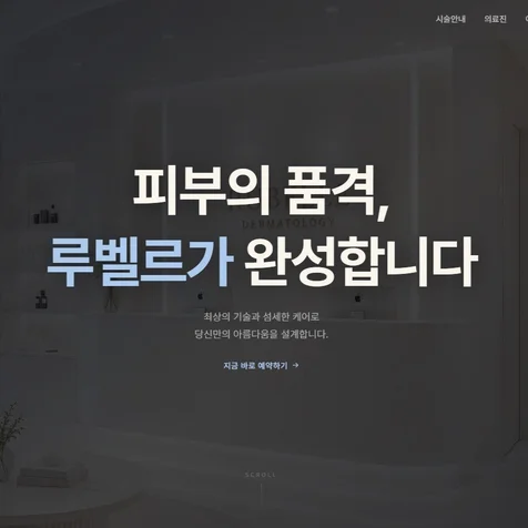 포트폴리오-루벨르 피부과