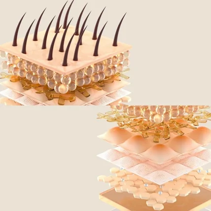 포트폴리오-[3D모델링] 클럭_3D 피부단면도 상세페이지영상